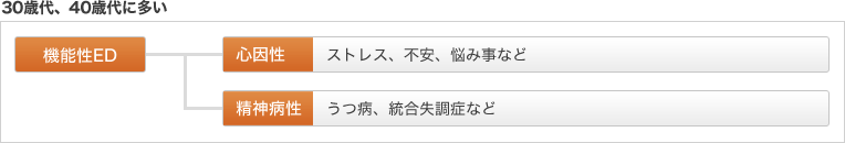 30歳以上、40歳代に多い：機能性ED